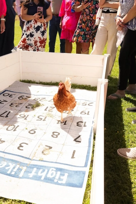 Suzonne's Celebration Of Life, Silent Auction 2025_7