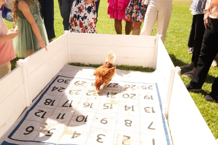 Suzonne's Celebration Of Life, Silent Auction 2025_8