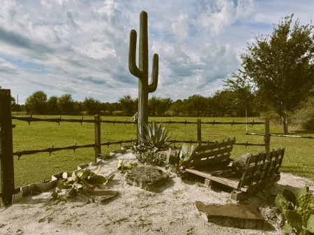 Suzonne's Home Willis, Tx